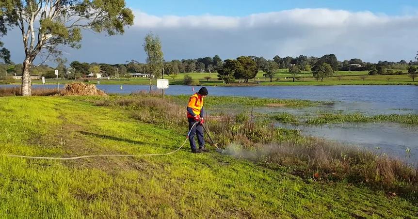 Chemical Free Weed Control Around Wetlands and Waterways - Aus Eco ...